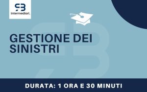 Gestione dei sinistri